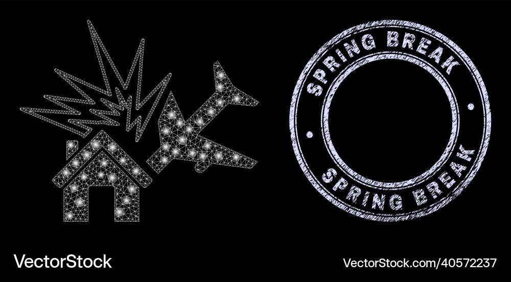 Grunge spring break badge and constellation net Grunge spring break badge and constellation net vector image