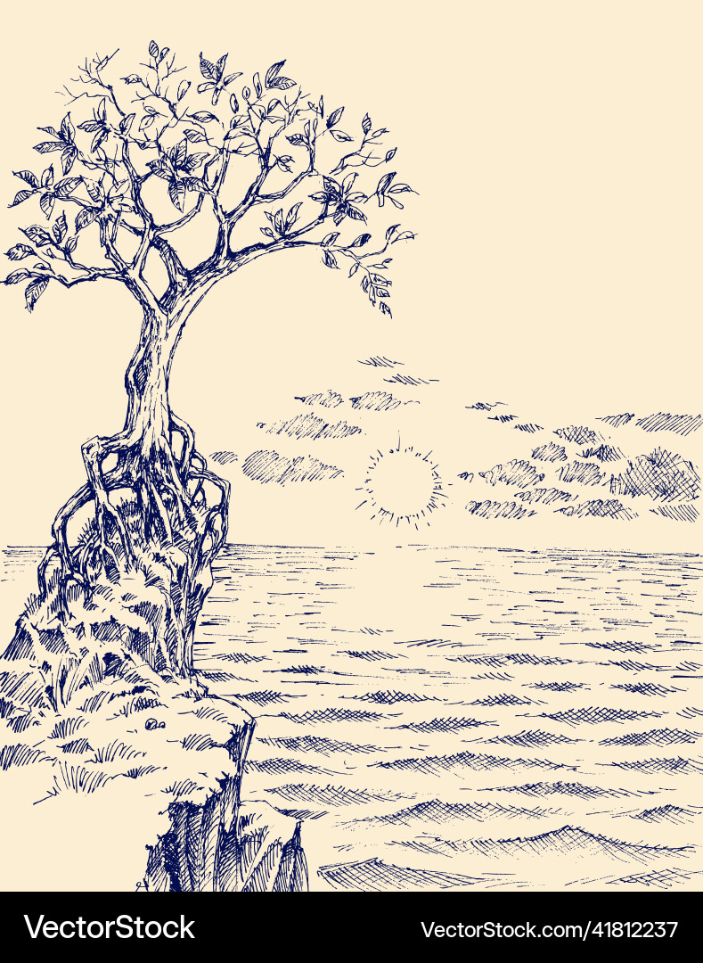 Sea view at sunrise a tree growing on rocky shore Sea view at sunrise a tree growing on rocky shore vector image