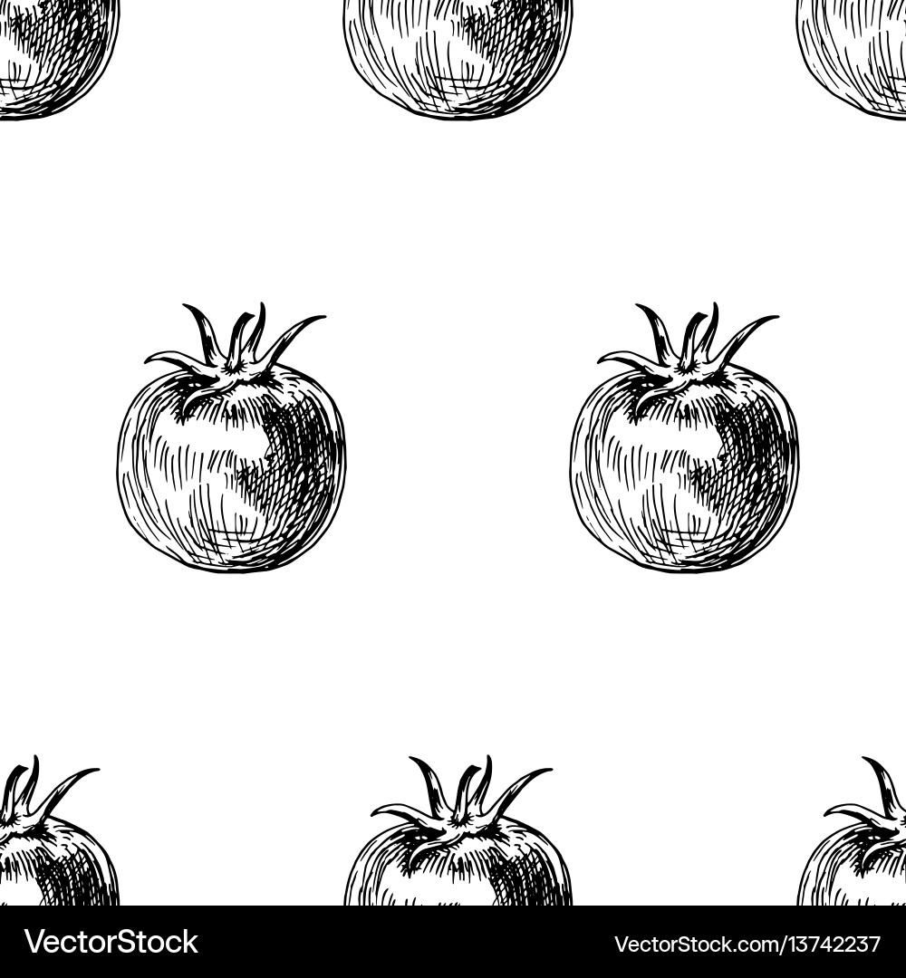 Tomato Pattern - Retro Background vector image