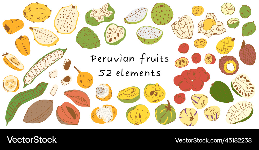 Big set of 52 elements peruvian Vector Image