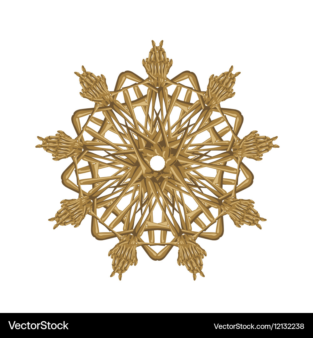 Bones pattern vector image
