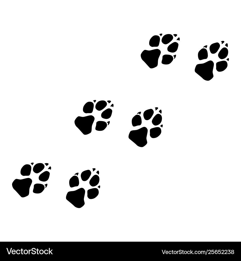 Paw prints dog vector image