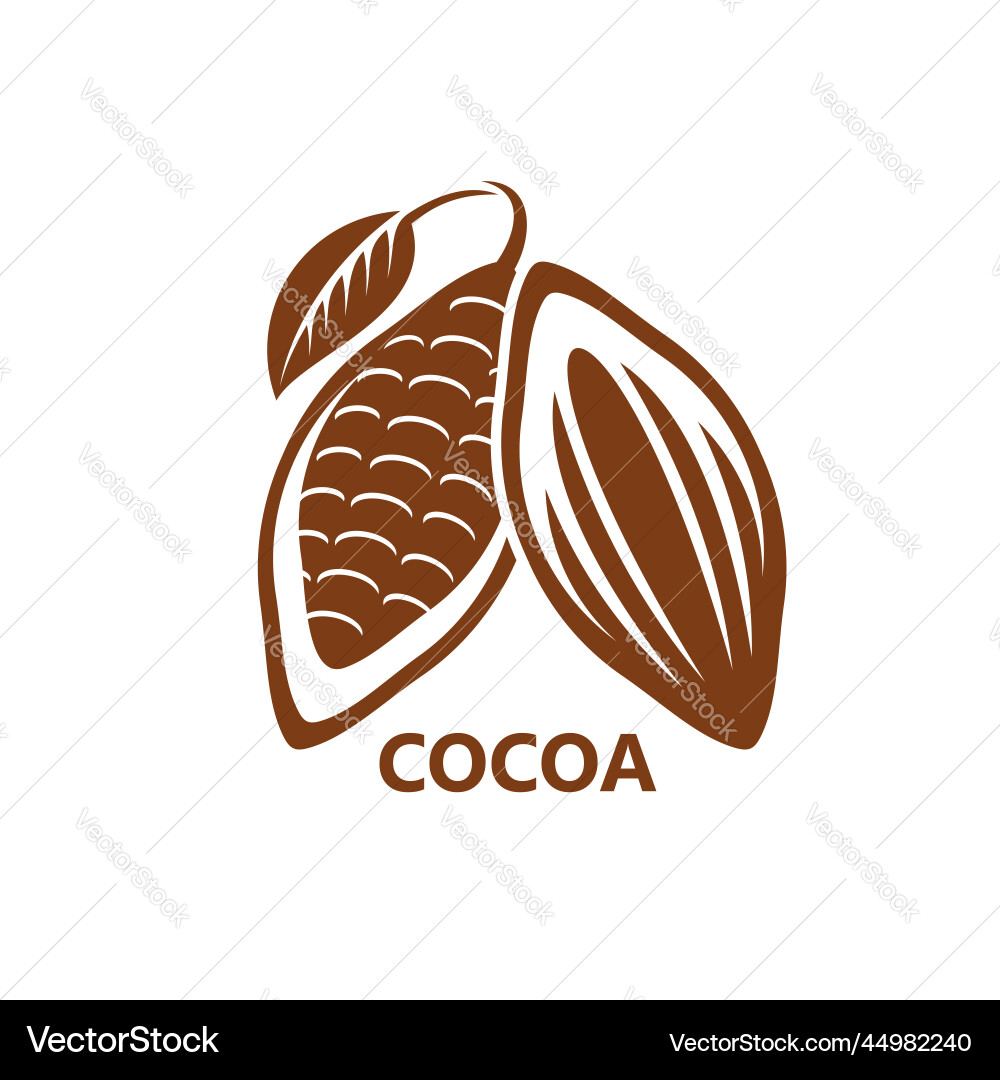 Cocoa Bean with Leaf Icon vector image