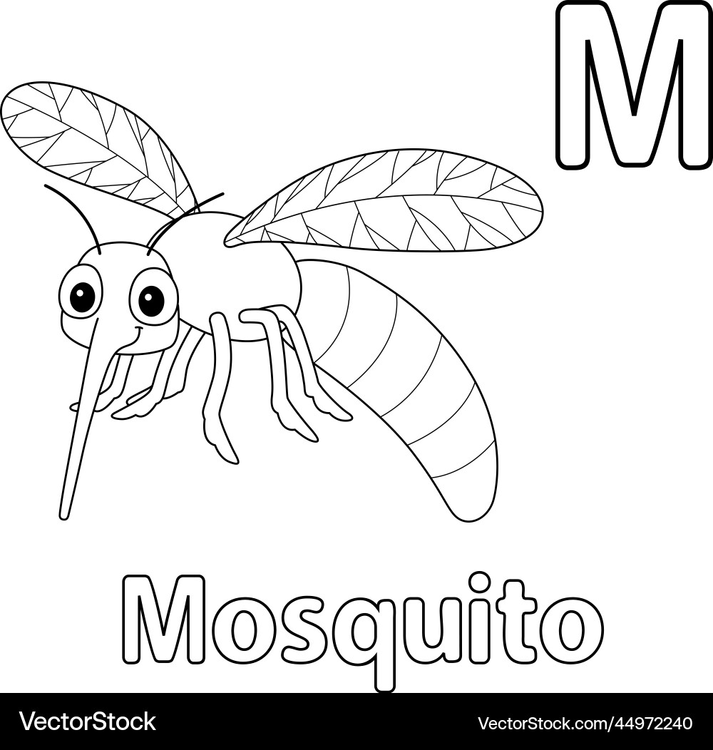 Mosquito alphabet abc isolated coloring page m Mosquito alphabet abc isolated coloring page m vector image