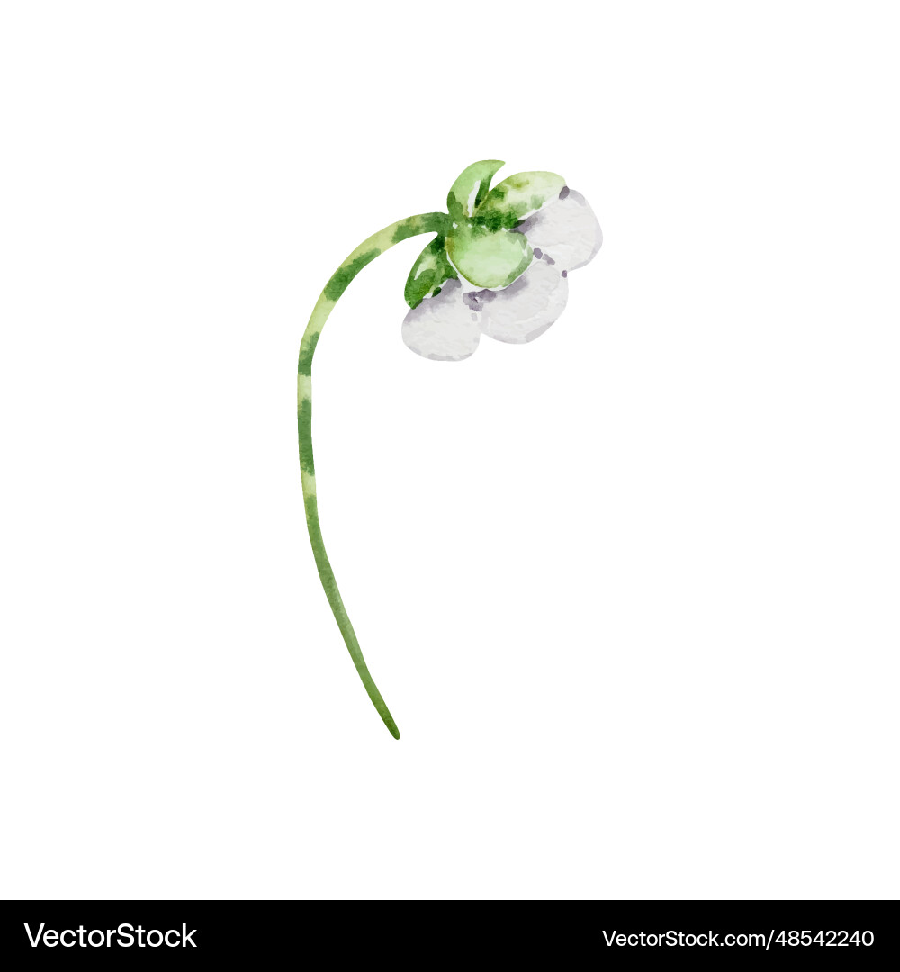 Watercolor Strawberry Branch Vector Image