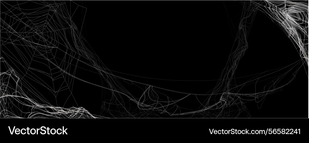 Cobwebs on dark background spider web hanging Cobwebs on dark background spider web hanging vector image