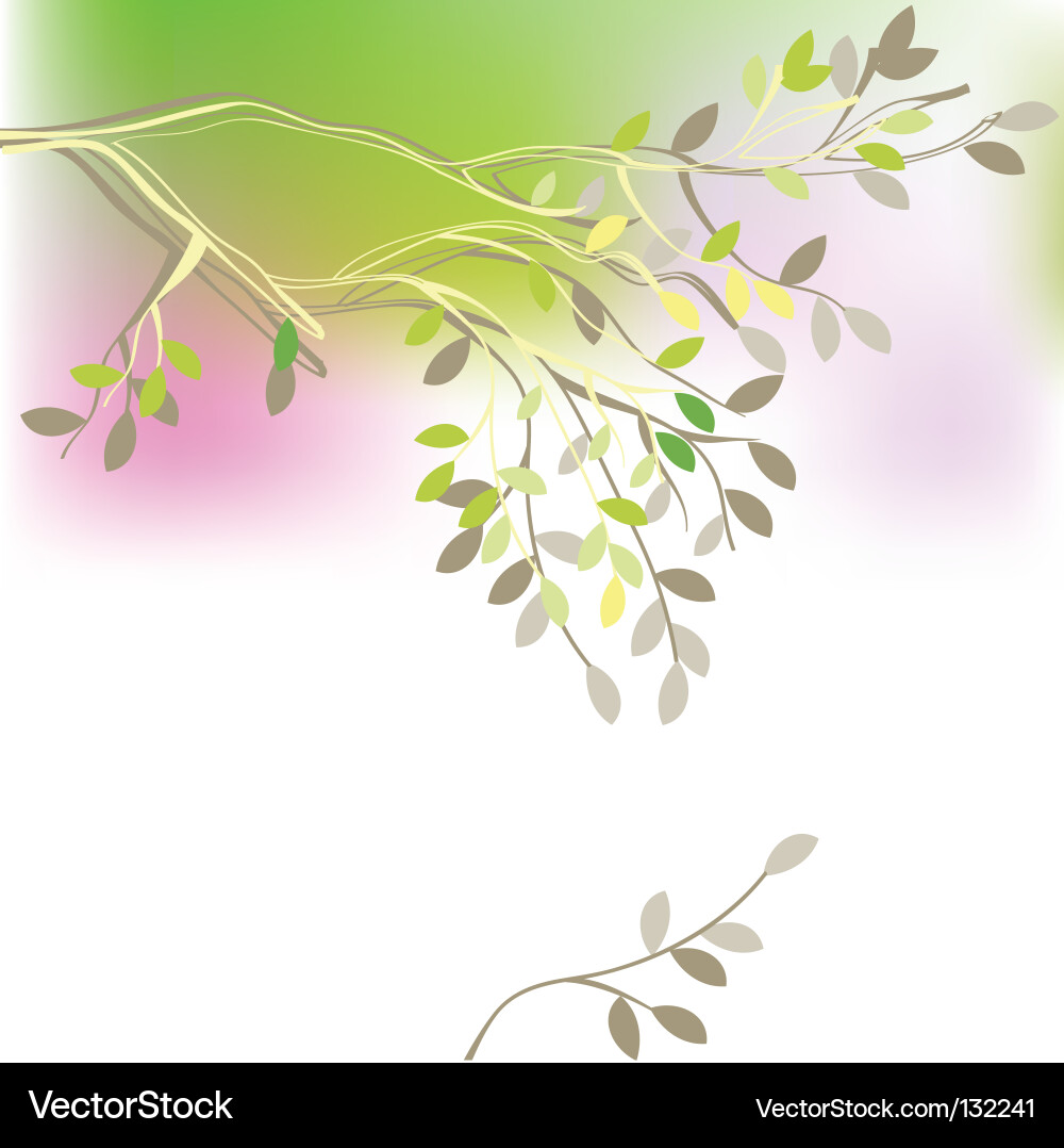 Spring branch vector image