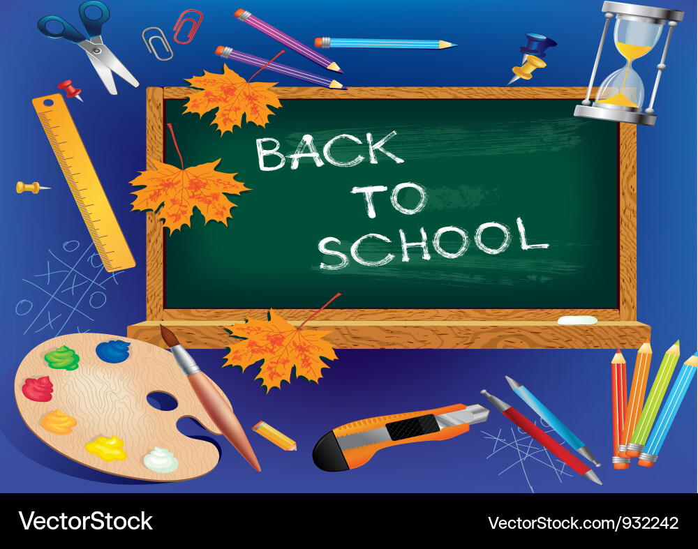 Back to School Supplies vector image