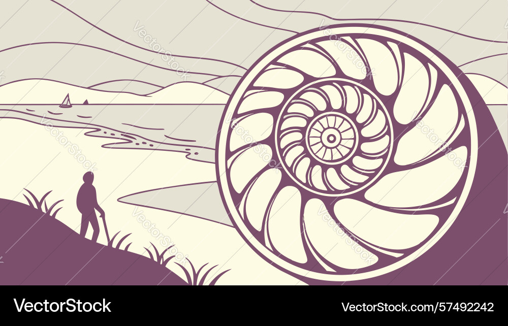 Nautilus shell spiral abstract geometric pattern vector image