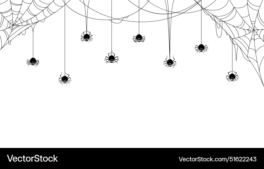 Spider border frame background with cobweb nets Spider border frame background with cobweb nets vector image