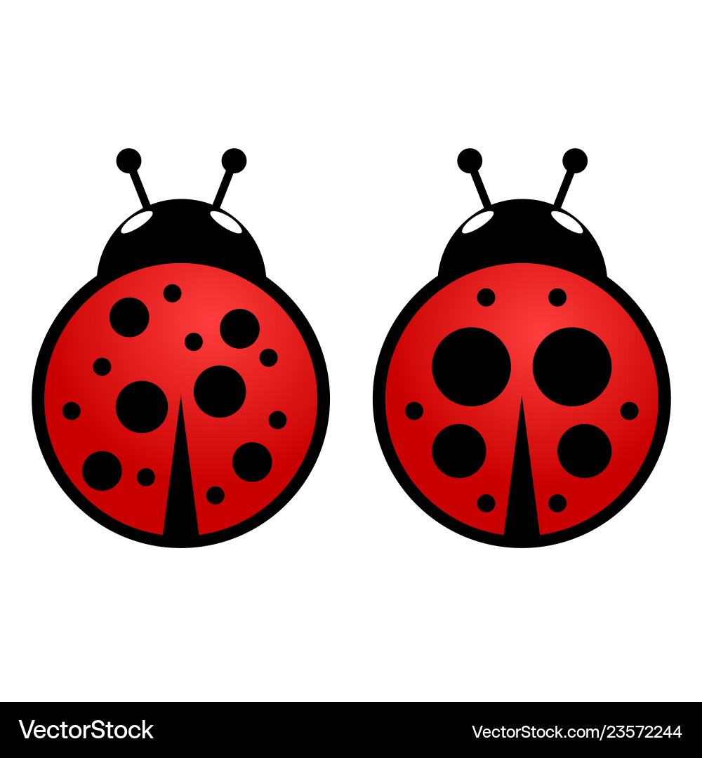 Ladybug icon in red set one vector image