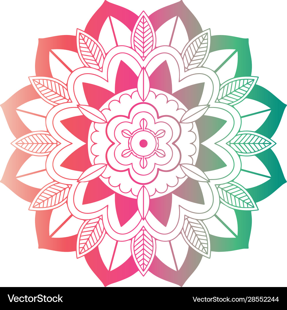 Mandala patterns on isolated background Vector Image