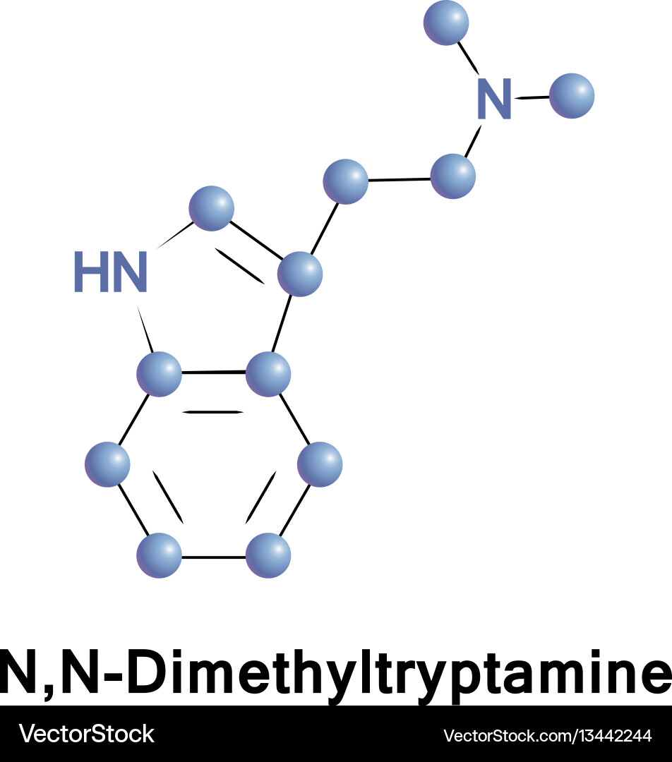 N,N-Dimethyltryptamine (DMT) Structure vector image