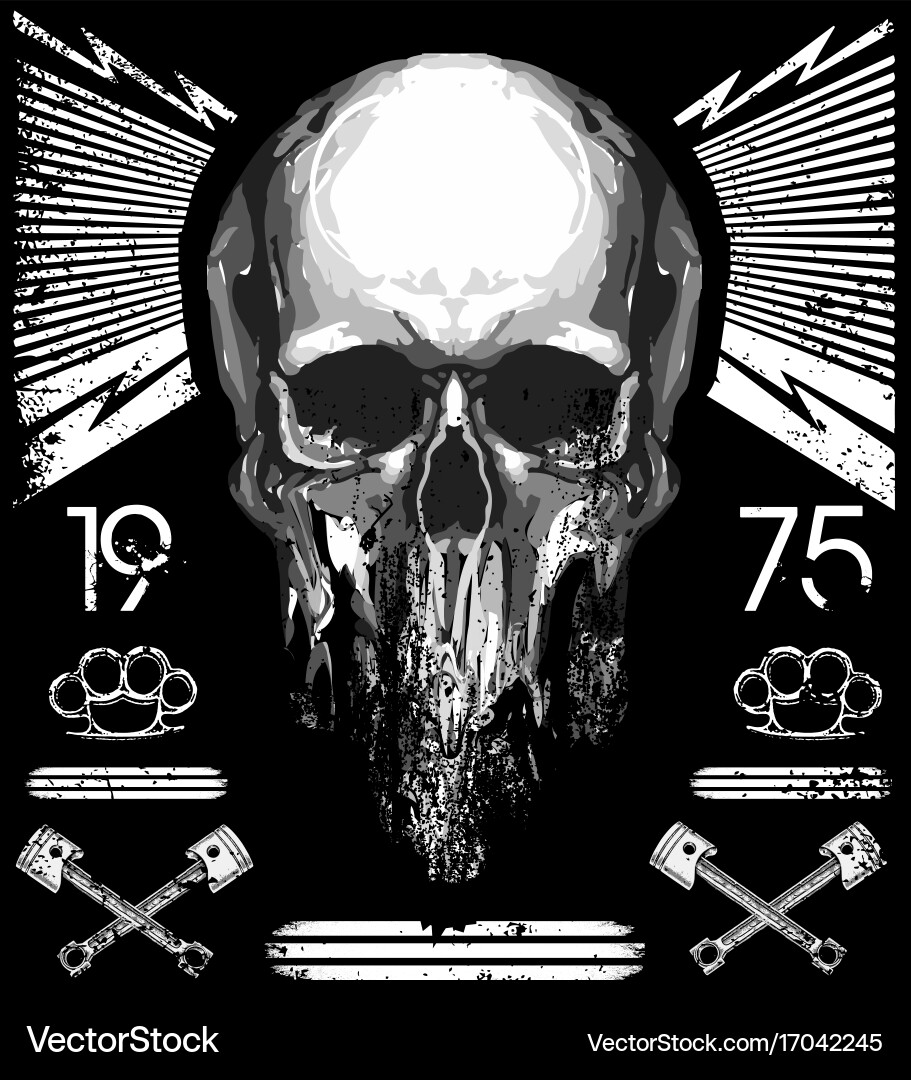 Skull T-Shirt Graphic Vector Image