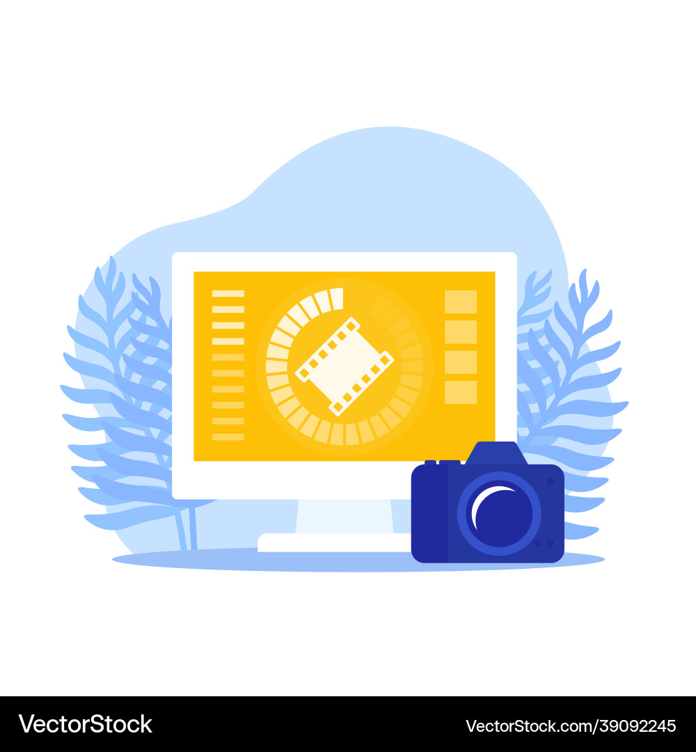 Video importing from camera to computer Video importing from camera to computer vector image