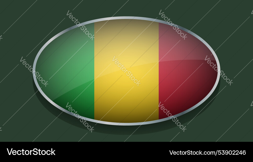 Eclipse shape of mali flag with original color vector image