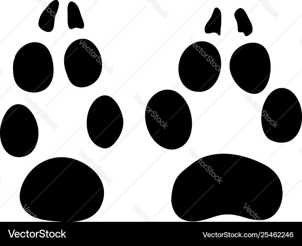 Fox footprint vector image