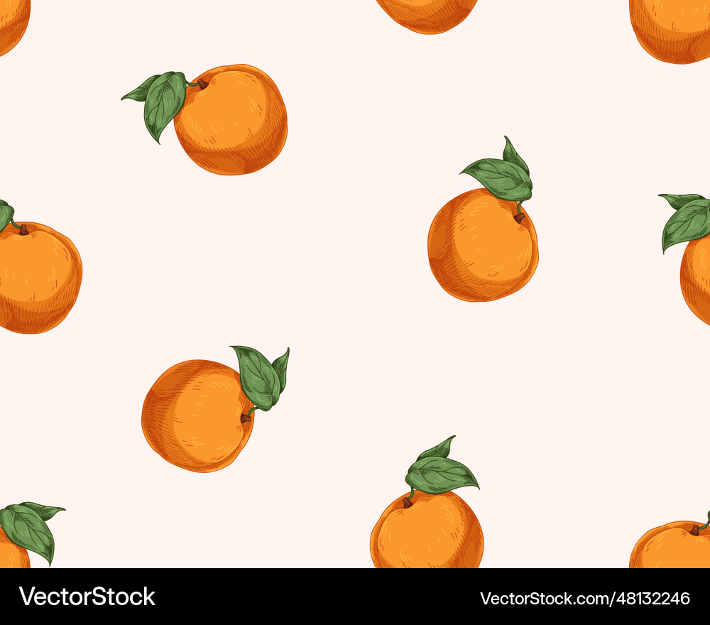 Seamless Apricots Pattern Vector Image