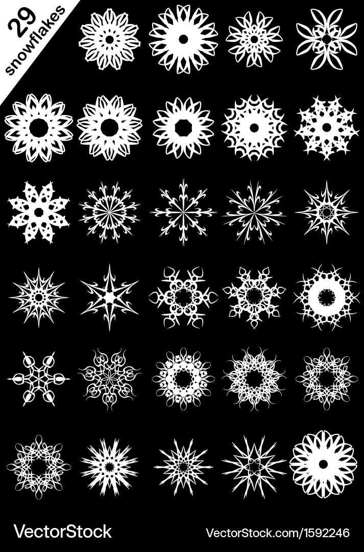 Snowflake Collection Vector Image