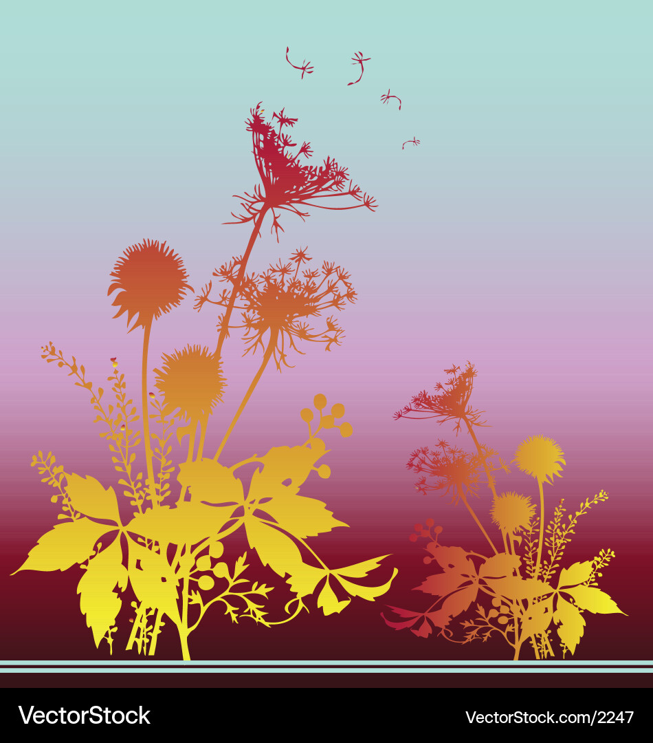 Dandelion Seeds in Fall Vector Image