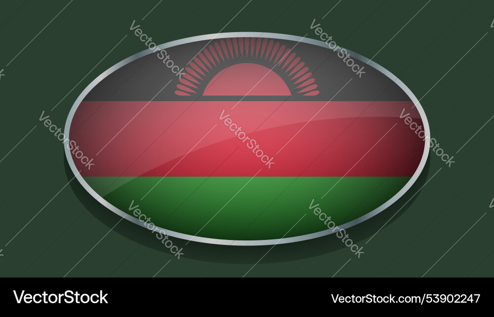 Eclipse shape of malawi flag with original color Vector Image