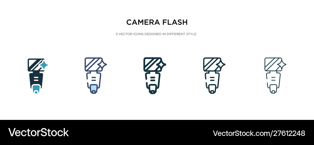 Camera flash icon in different style two colored Camera flash icon in different style two colored vector image