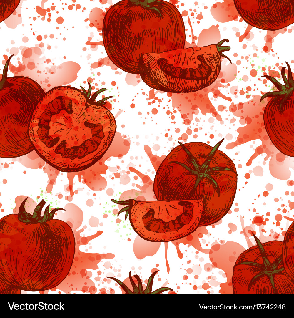 Tomato Pattern - Retro Background vector image