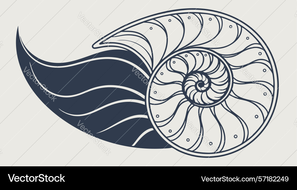Stylized nautilus shell abstract art design Vector Image