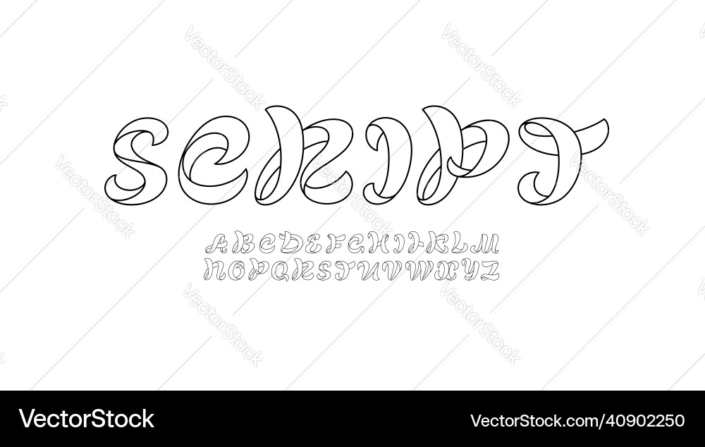 Cursive curvy font handwritten script alphabet vector image