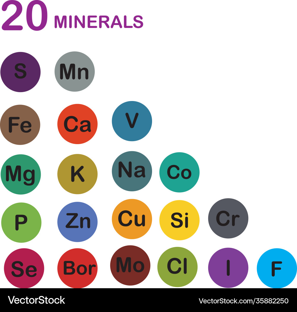 Minerals microelements and macro elements useful vector image