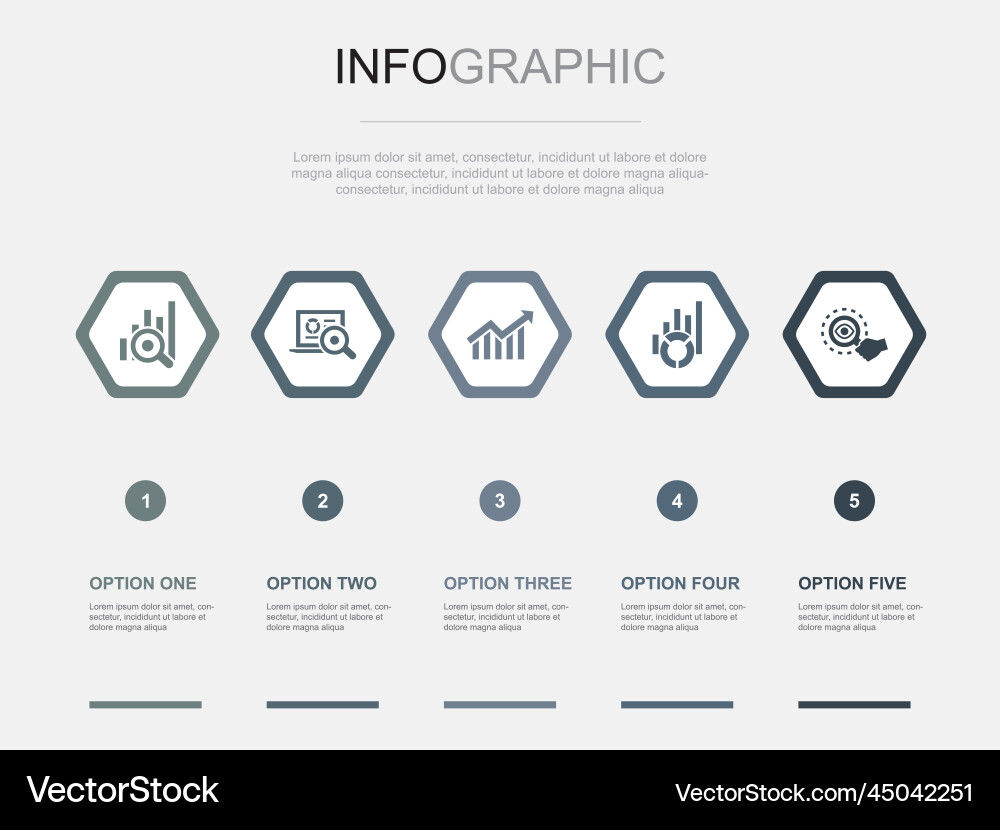 Analytics icons infographic design template Analytics icons infographic design template Vector Image