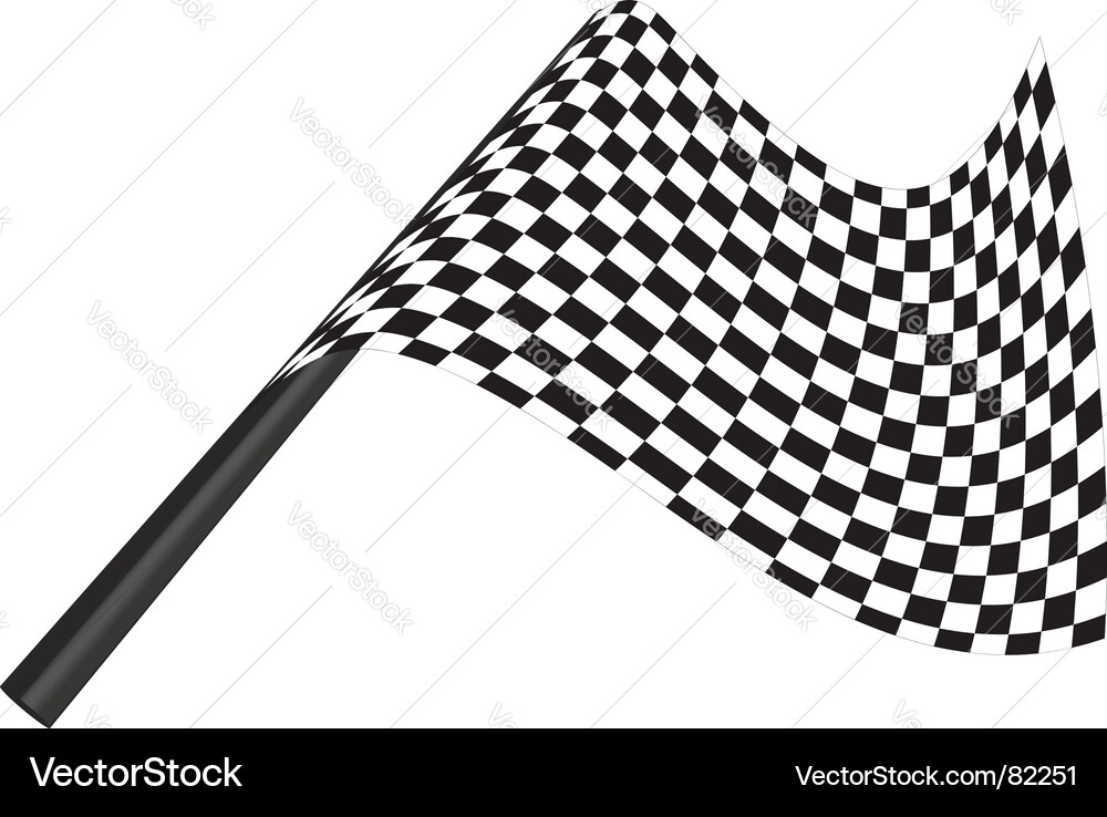 Checked flags vector image