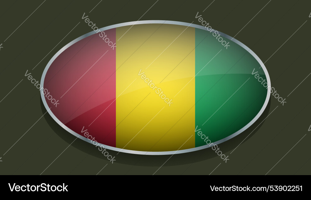 Eclipse shape of guinea flag with original color Vector Image