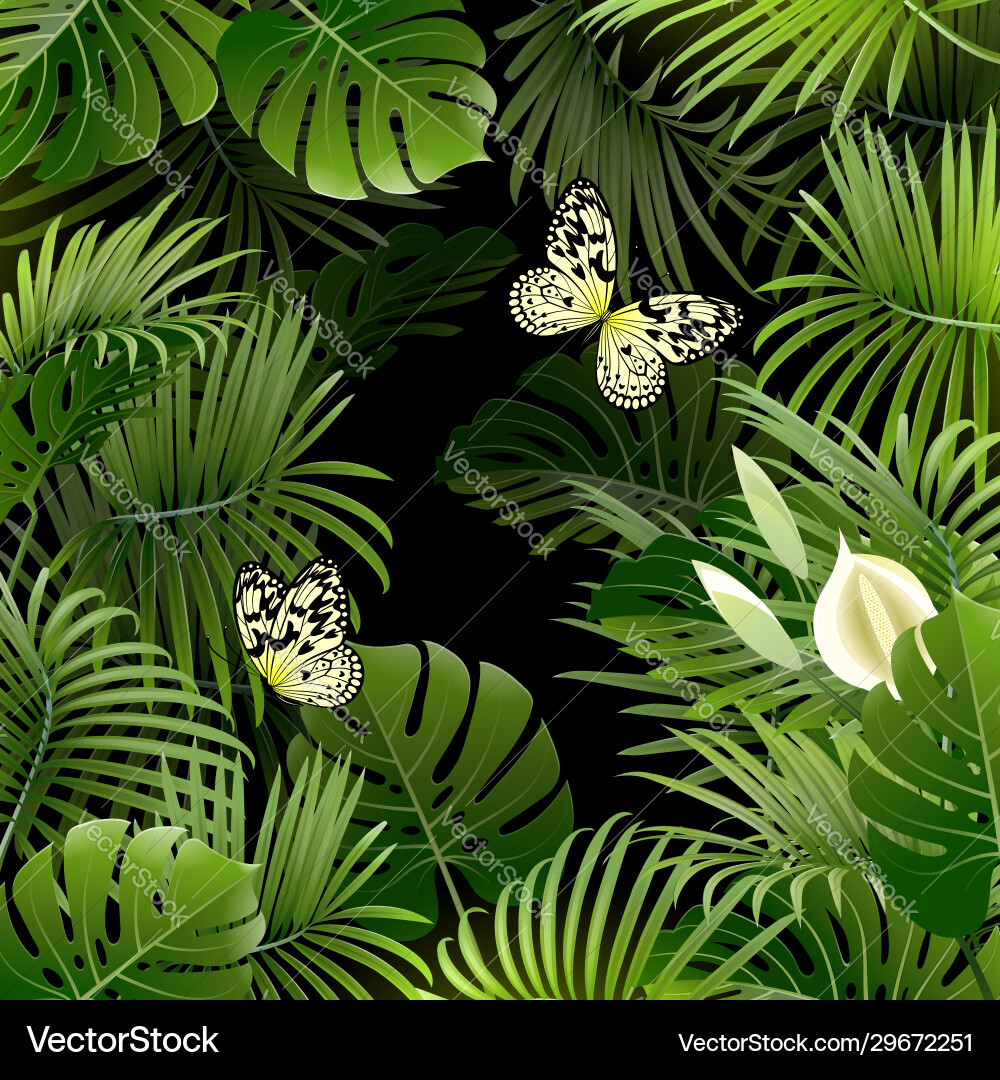 Tropical Plants Banner Vector Image