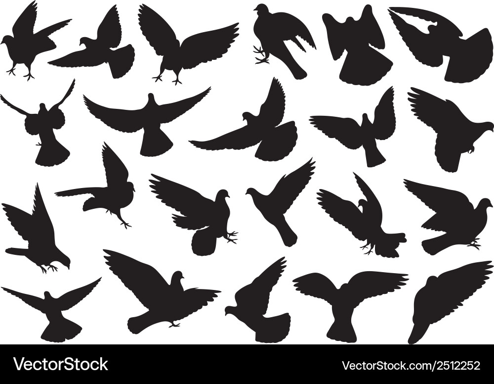 Doves in Silhouette Vector Image