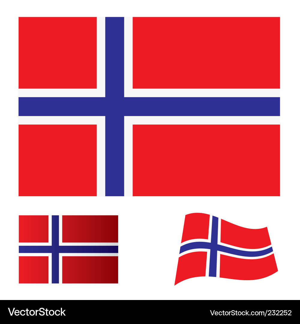 Norway flag set vector image