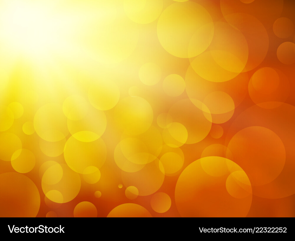 Sunset Circle Bokeh Background vector image