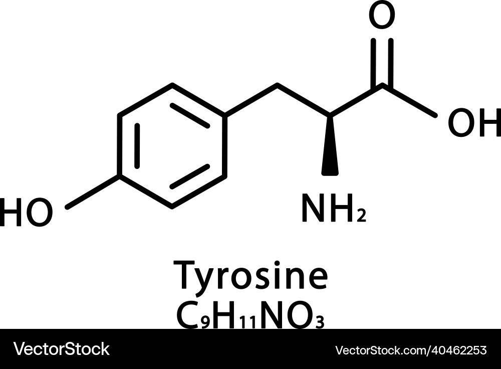L-Tyrosine molecular structure