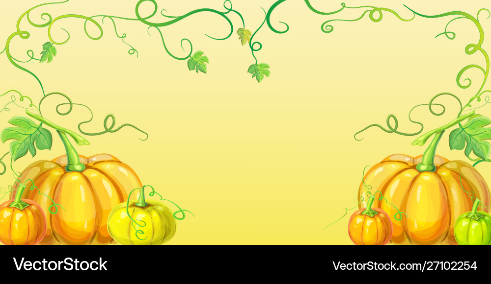 Autumn orange pumpkins horizontal banner Autumn orange pumpkins horizontal banner vector image