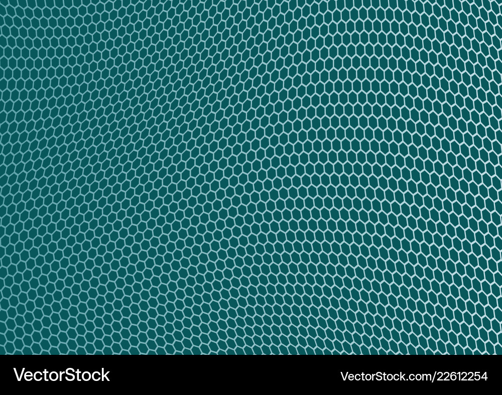 Geometric Hexagon Pattern vector image