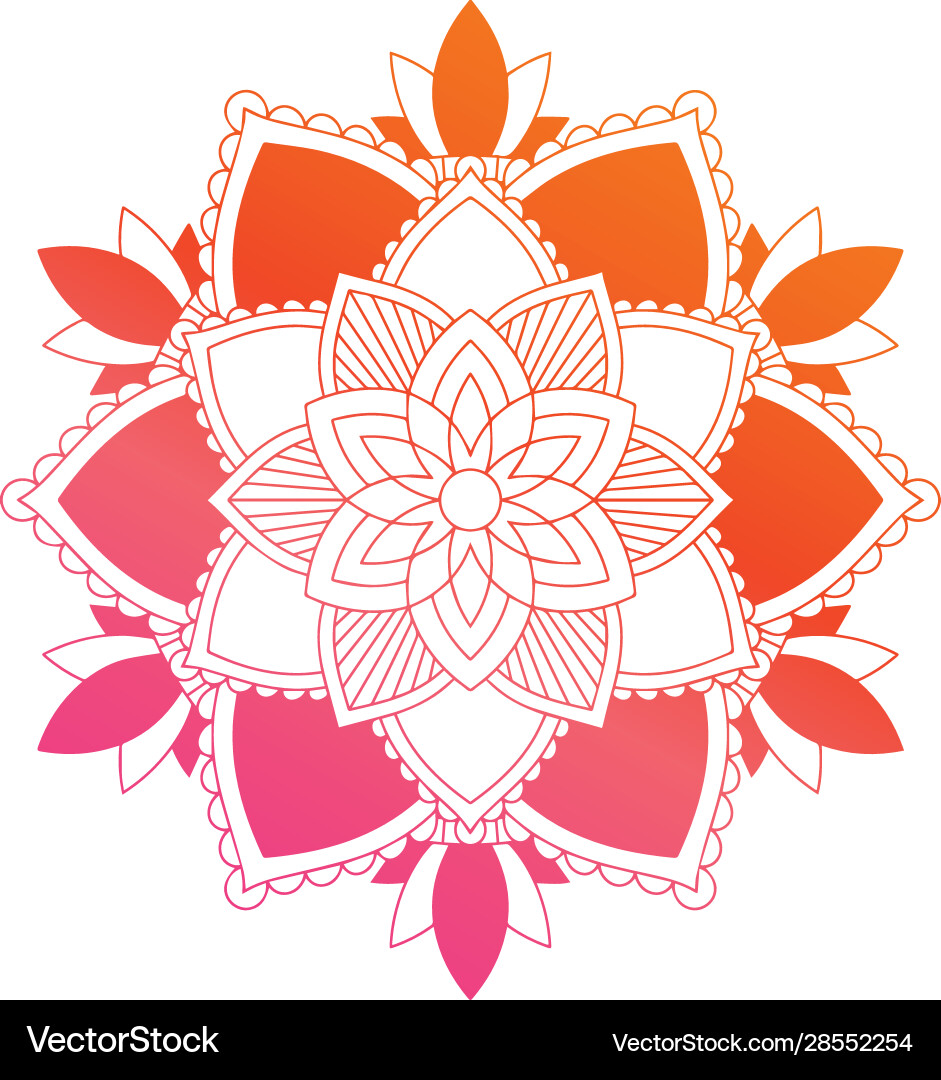 Mandala patterns on isolated background Mandala patterns on isolated background Vector Image