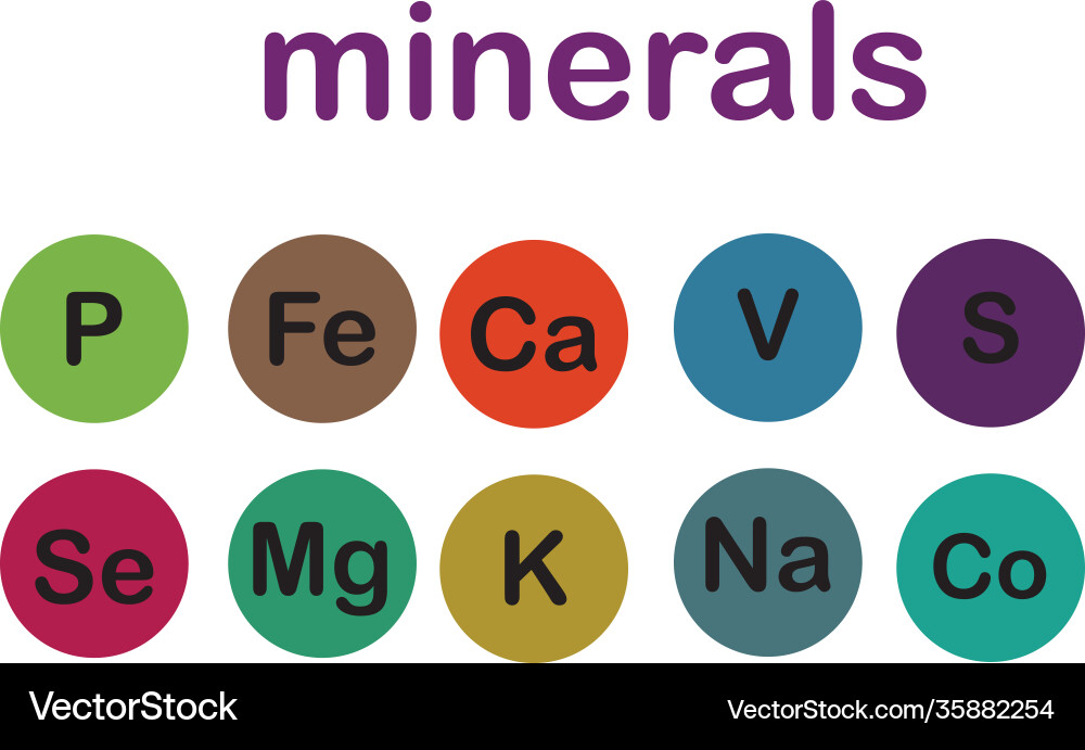 Minerals microelements and macro elements useful Minerals microelements and macro elements useful vector image