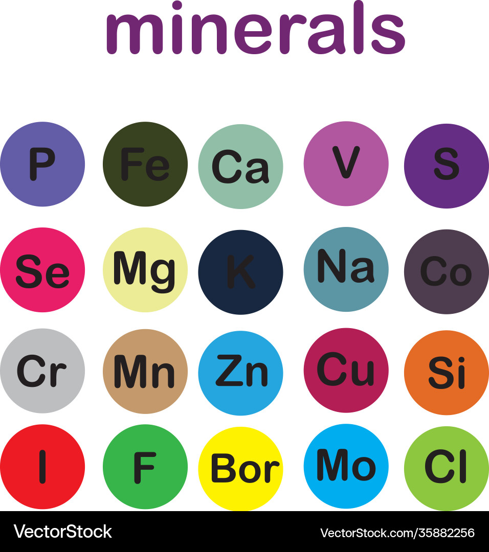 Minerals microelements and macro elements useful vector image