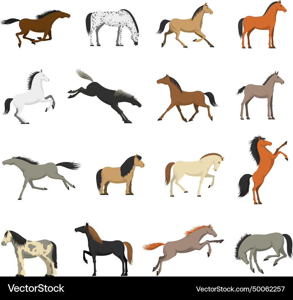 Best horse breeds pictures icons set Best horse breeds pictures icons set vector image