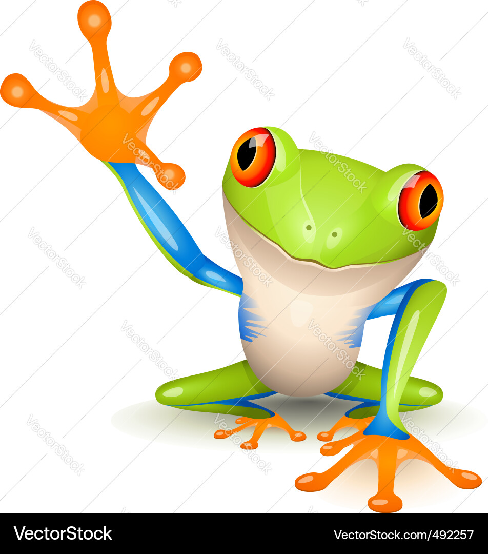 Cute Tree Frog Royalty Free Vector Image - VectorStock