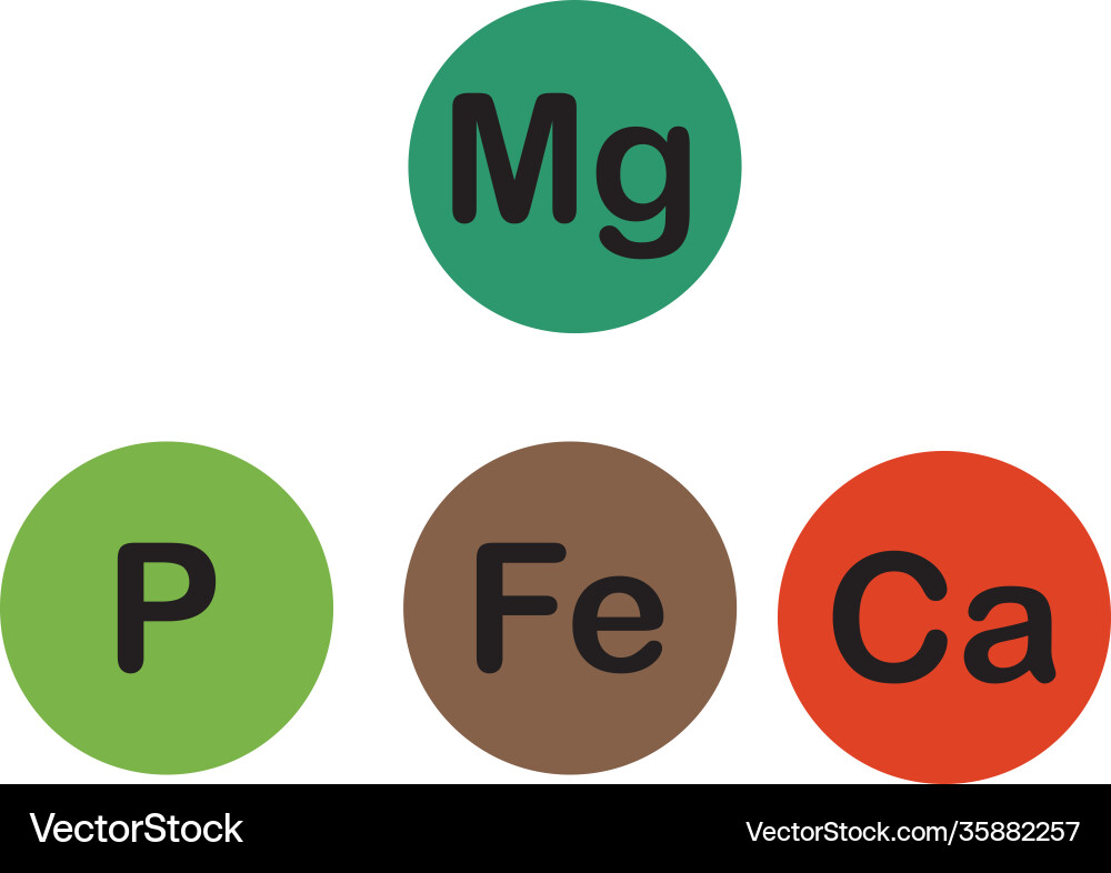 Minerals microelements and macro elements useful vector image
