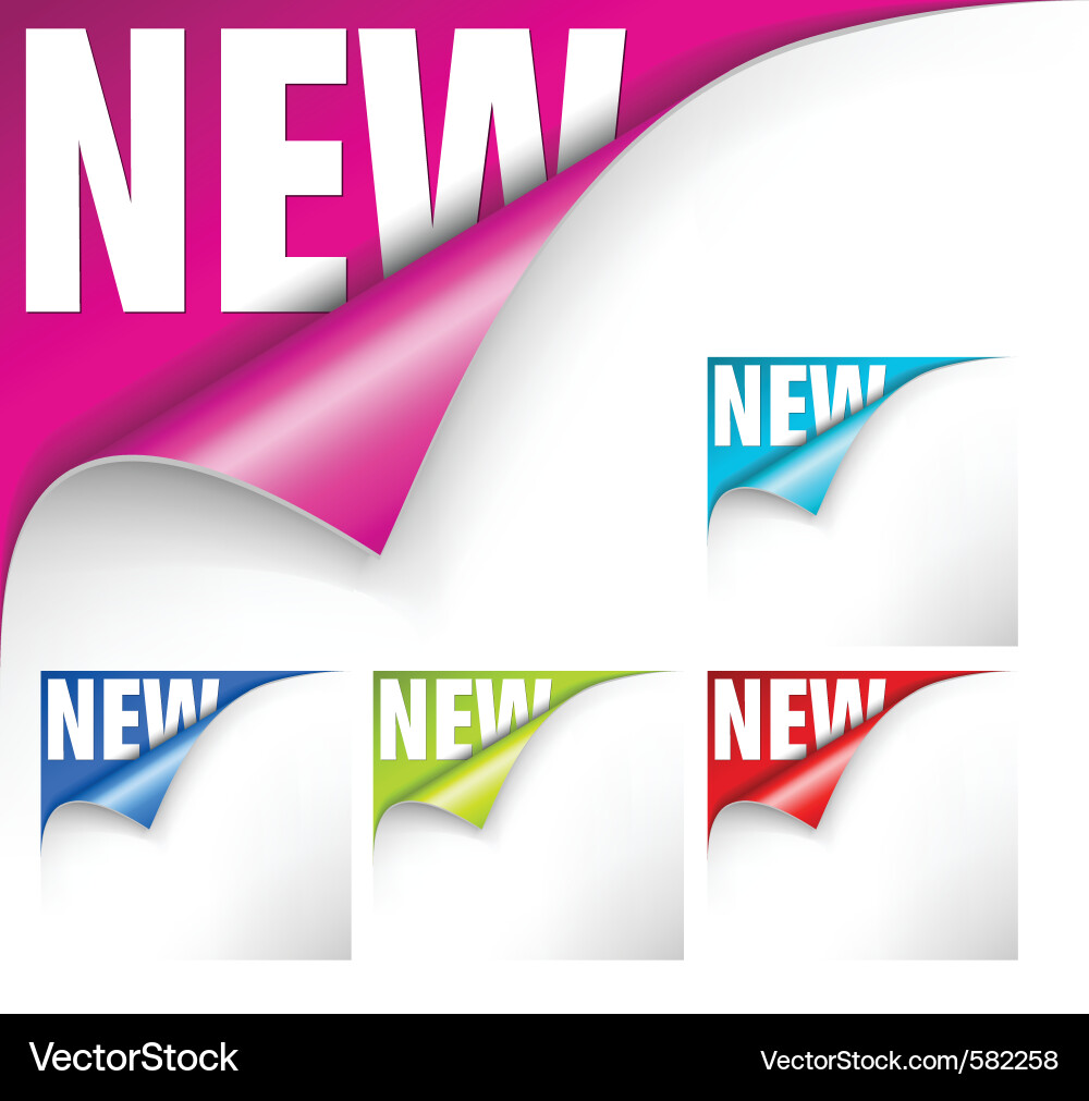 Curling Paper Page vector image
