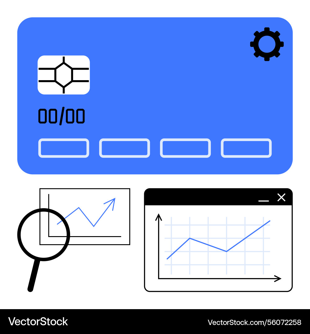 Digital payment card with data charts Digital payment card with data charts vector image