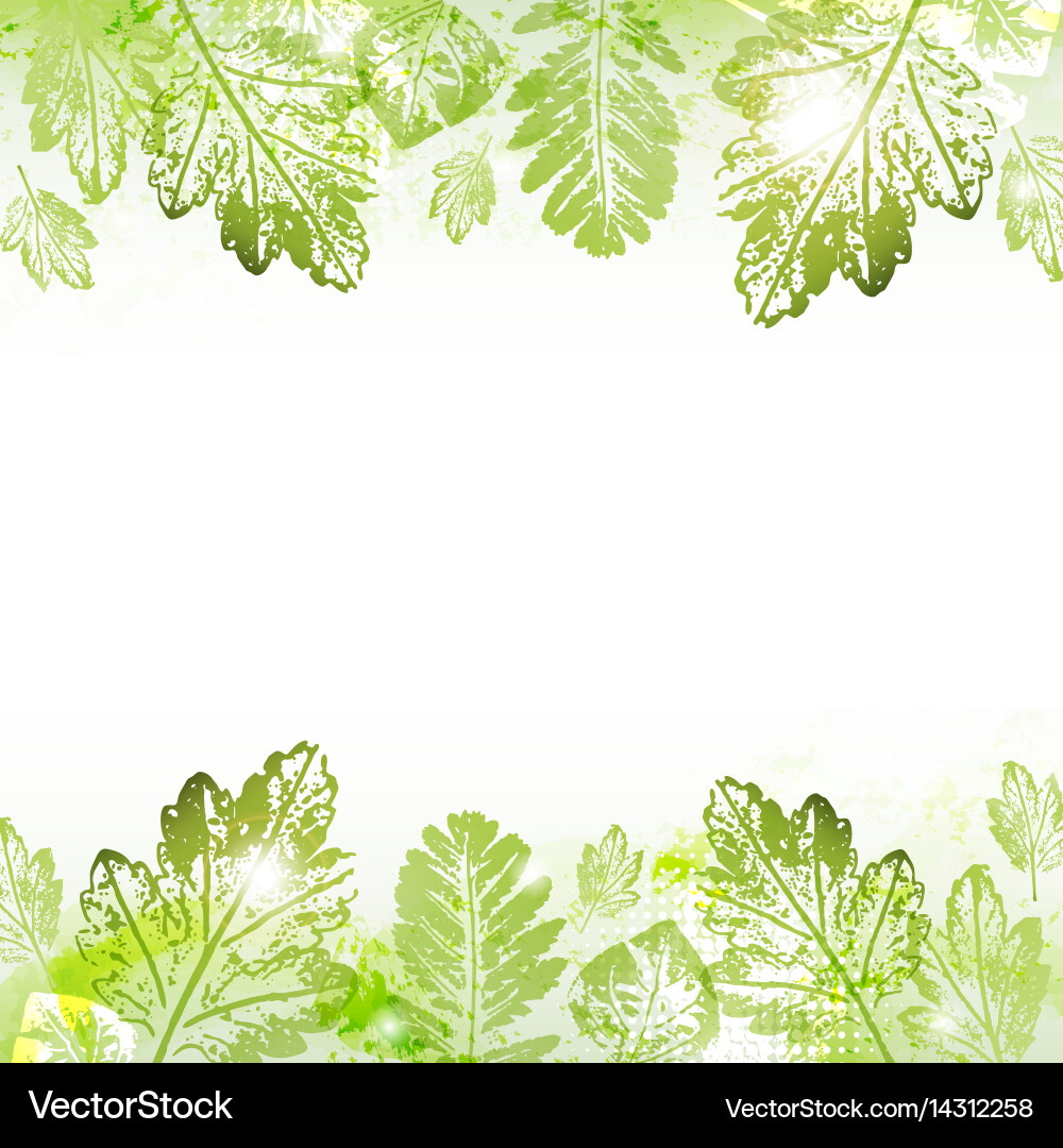 Spring Leaf Imprint Background vector image