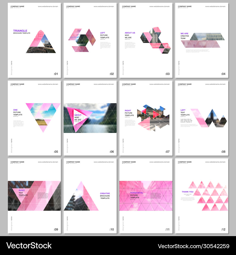 Creative brochure templates with triangular design Creative brochure templates with triangular design vector image